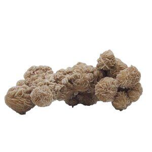 WOW Gorgeous Desert Rose Selenite Crystal Cluster Large Formation Sand 276 Grams